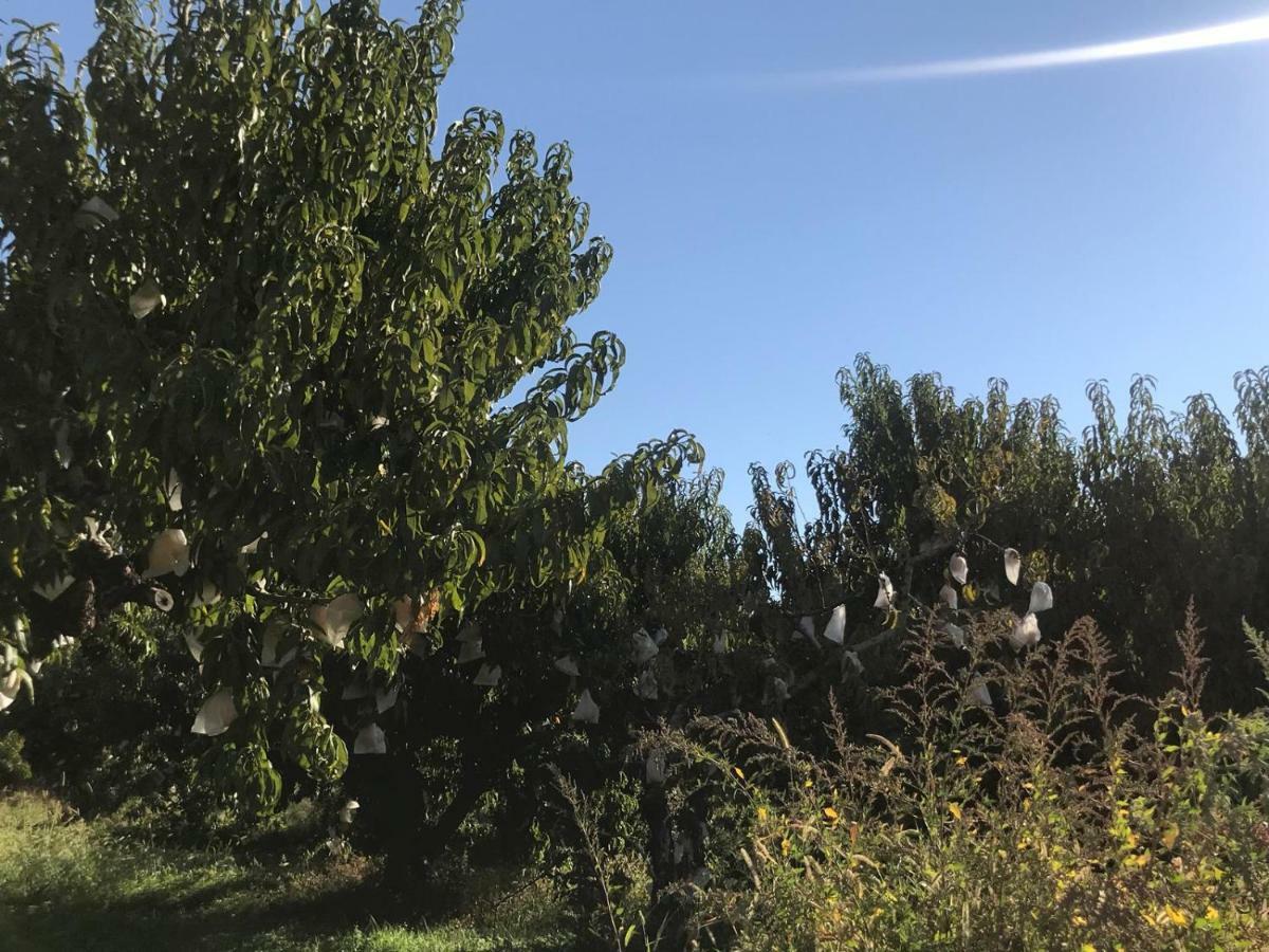 Apartamentos Calanda Εξωτερικό φωτογραφία